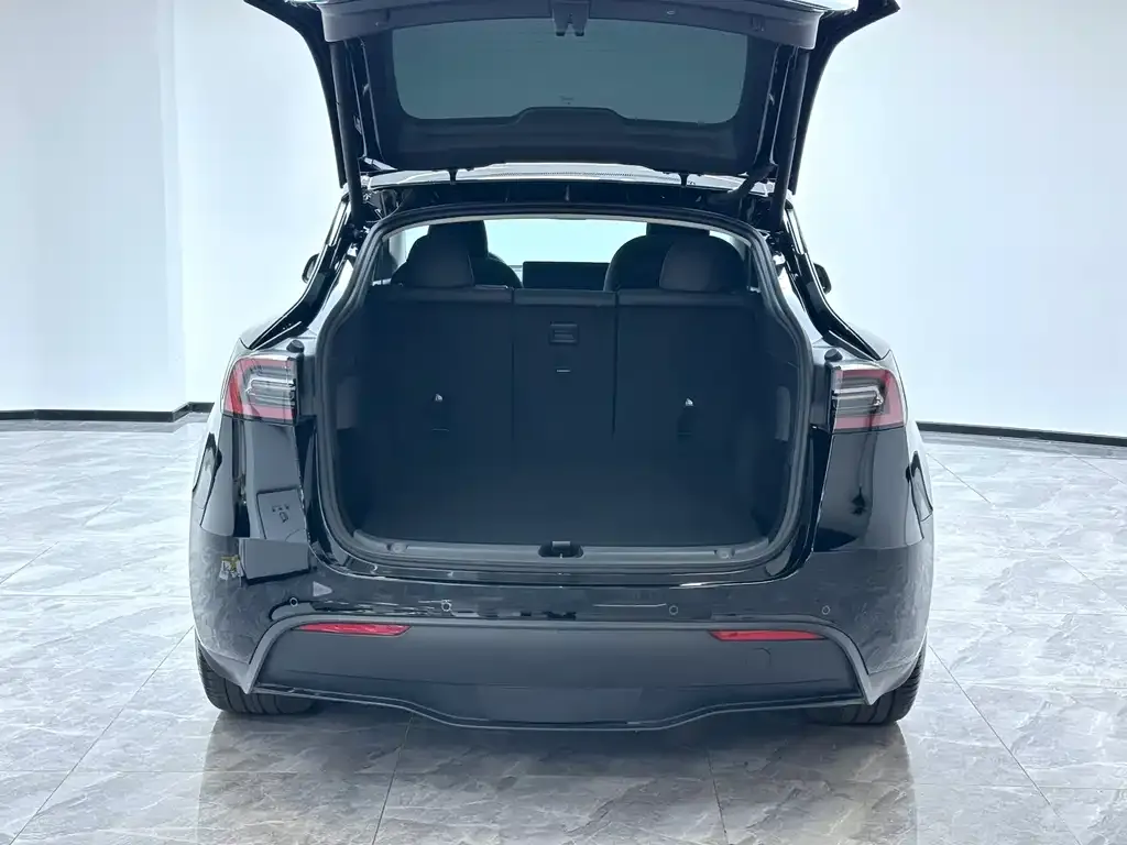 Tesla Model Y 2024 из CN, фото 2
