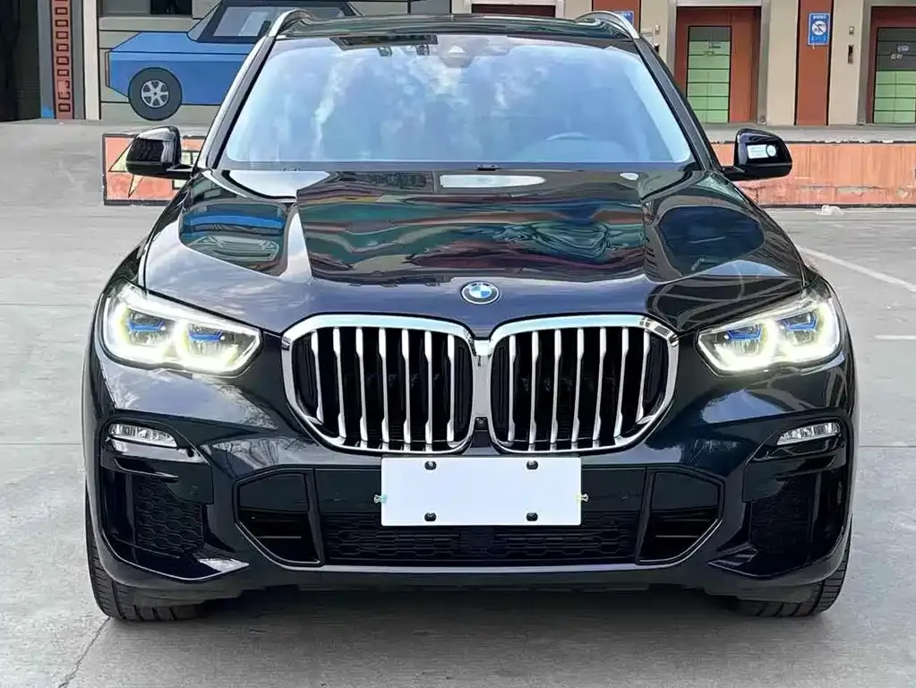 BMW X5 (Import) — фото 1