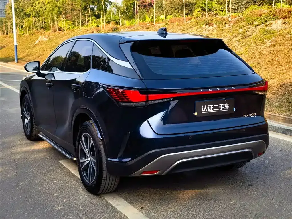 Lexus RX 2025 из CN, фото 5