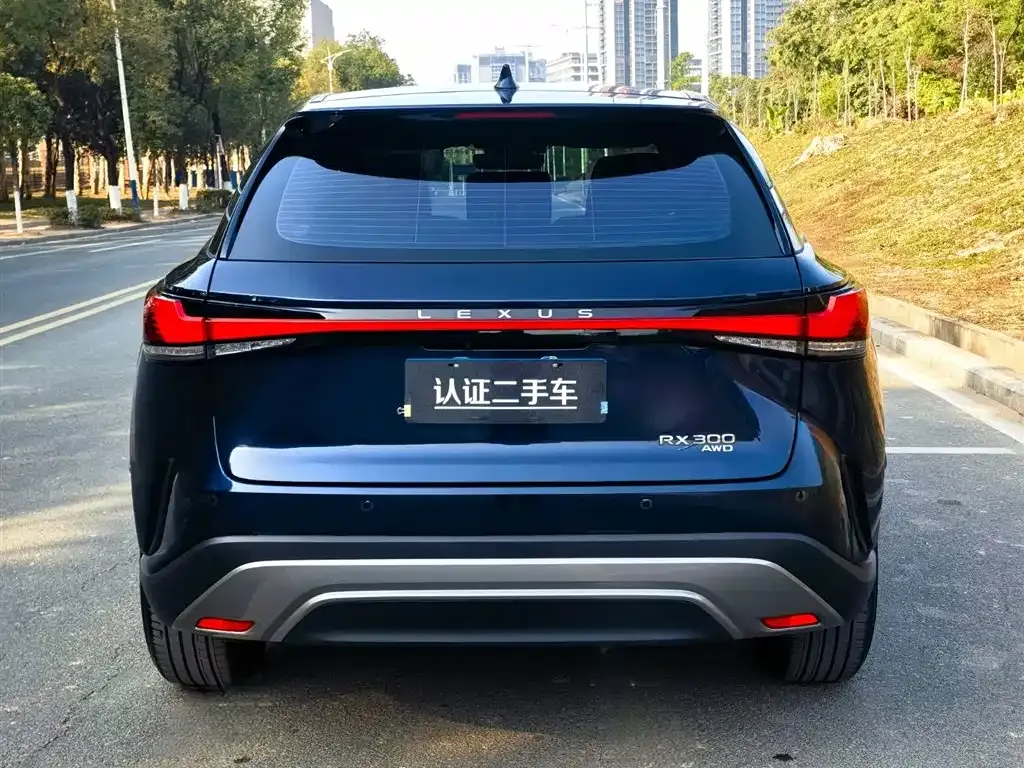 Lexus RX 2025 из CN, фото 7