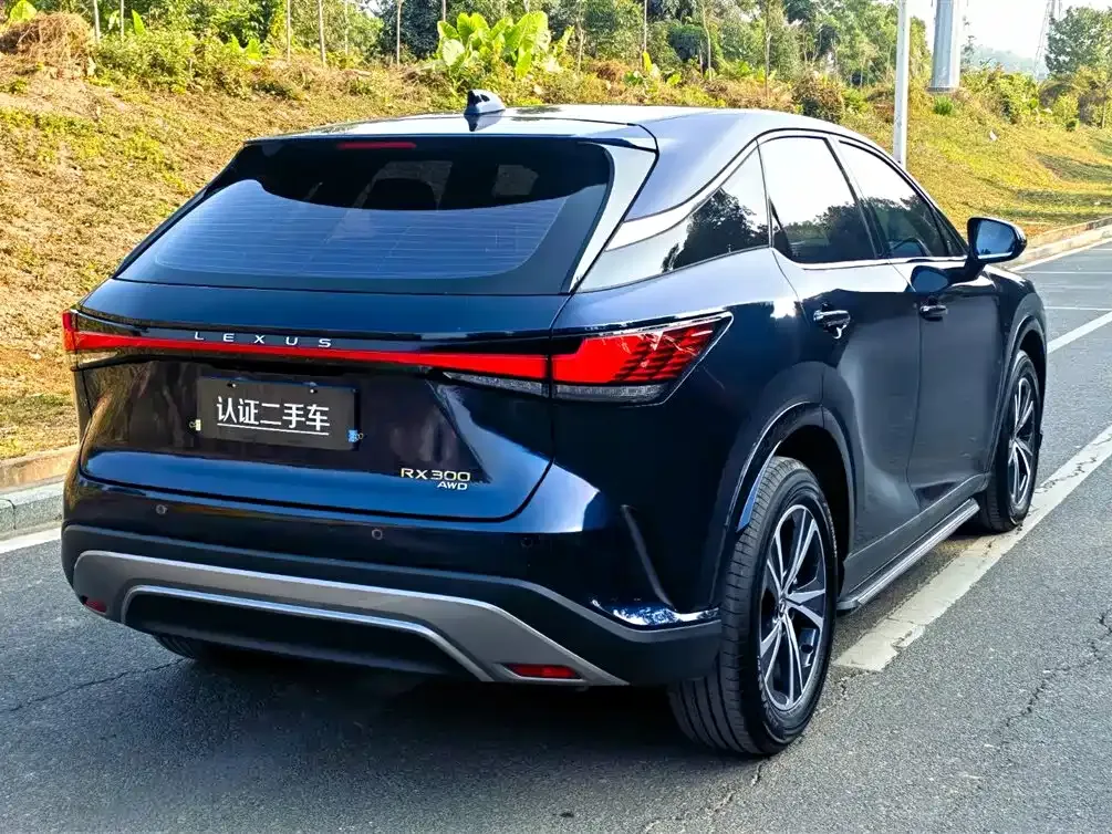 Lexus RX 2025 из CN, фото 8