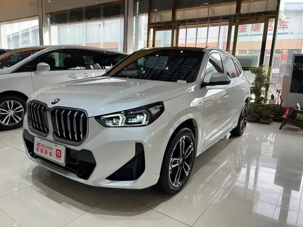 BMW X1 2024 из CN, фото 6