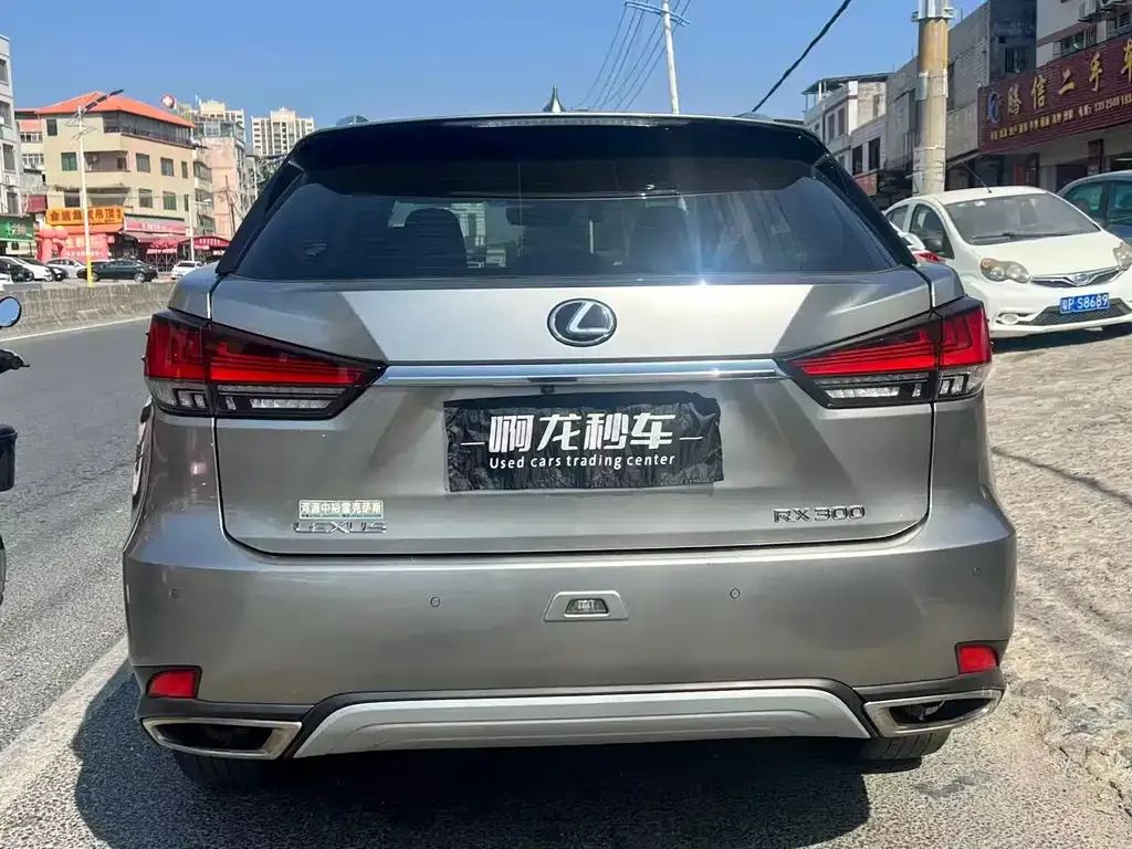 Lexus RX 2021 из CN, фото 4
