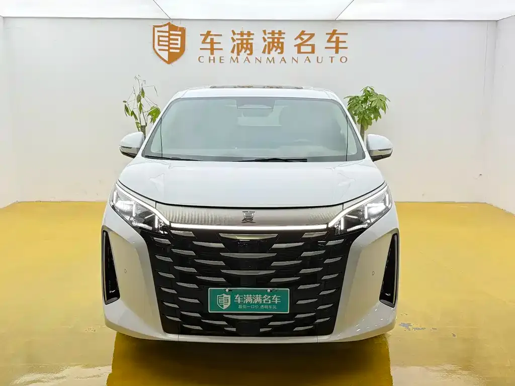 BYD Xia 2025 из CN, фото 5