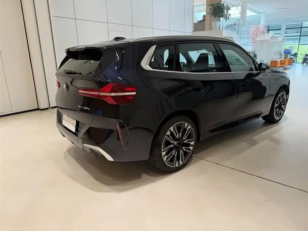 BMW X3 2025 из CN, фото 8