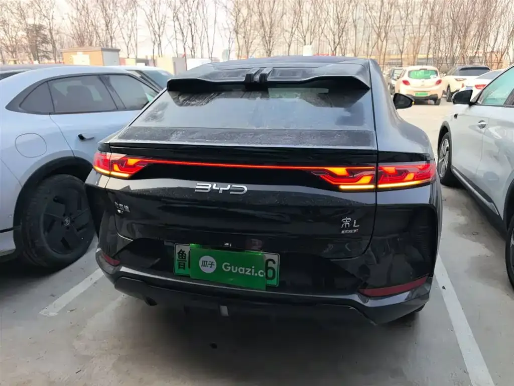 BYD L EV 2025 из CN, фото 5