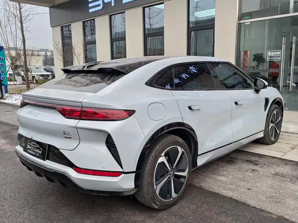 BYD L EV 2025 из CN, фото 10