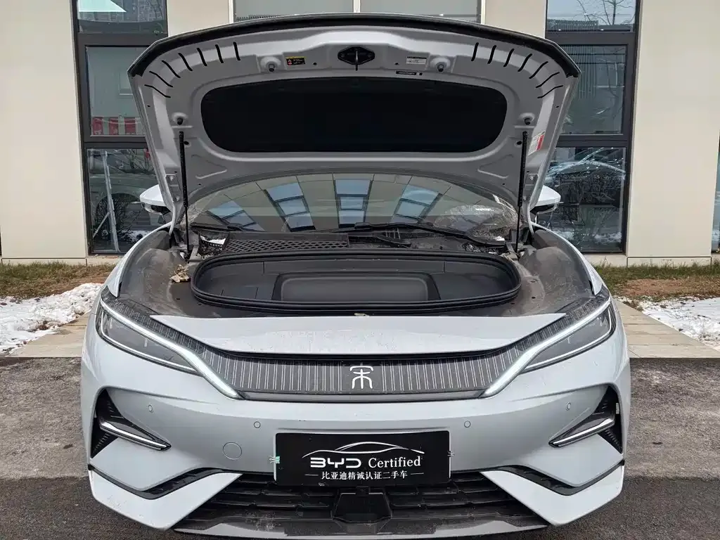 BYD L EV 2025 из CN, фото 3