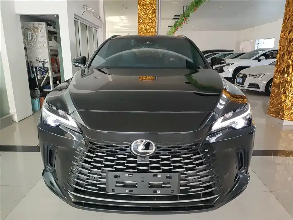 Lexus RX 2024 из CN, фото 8
