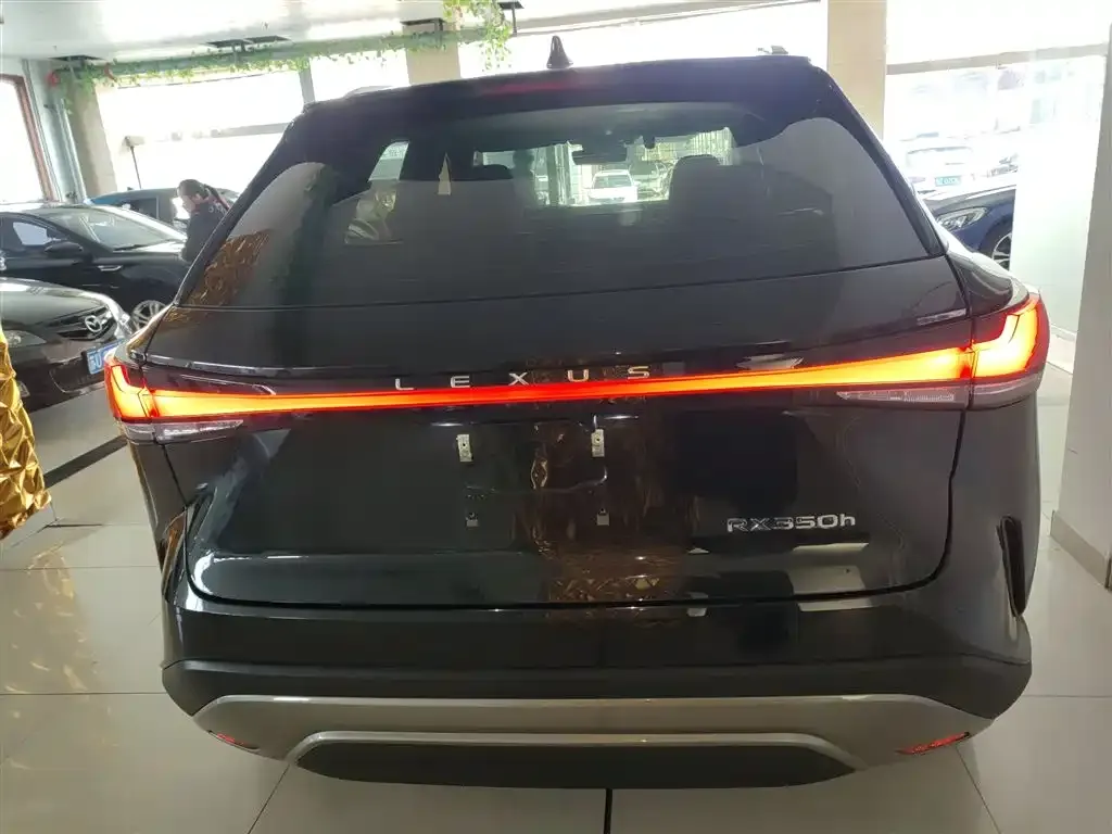 Lexus RX 2024 из CN, фото 4