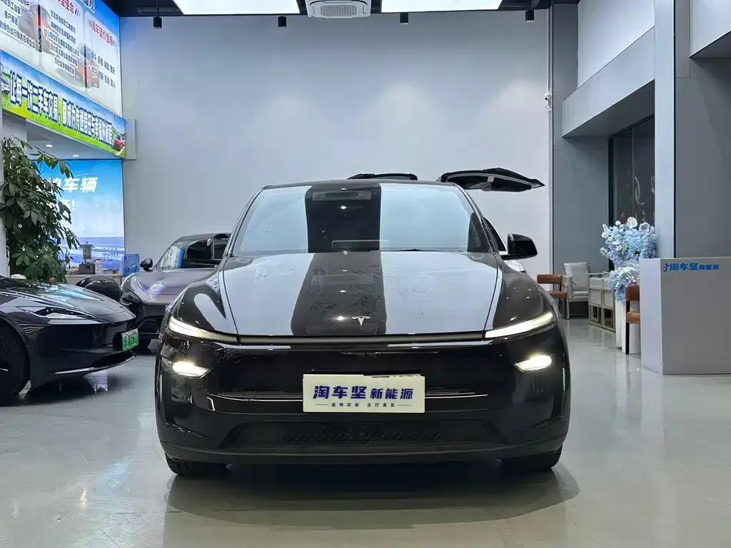 Tesla Model Y 2025 из CN, фото 10