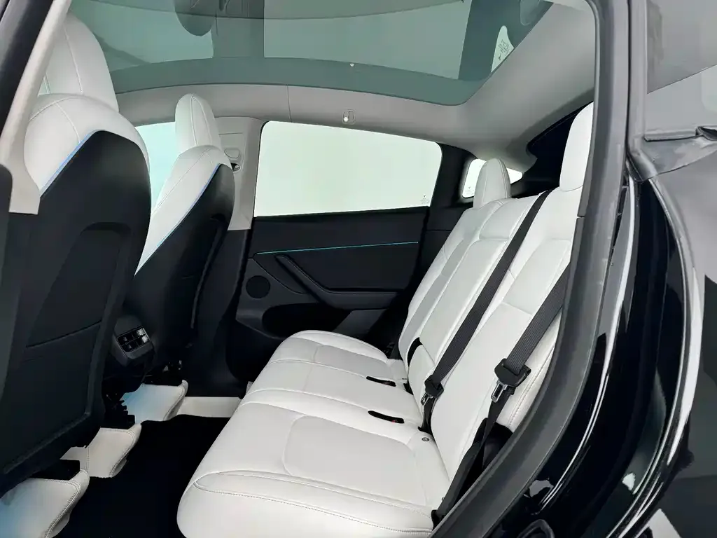 Tesla Model Y 2022 из CN, фото 5
