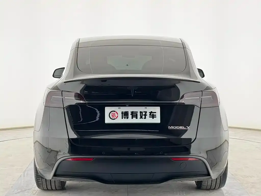 Tesla Model Y 2022 из CN, фото 8