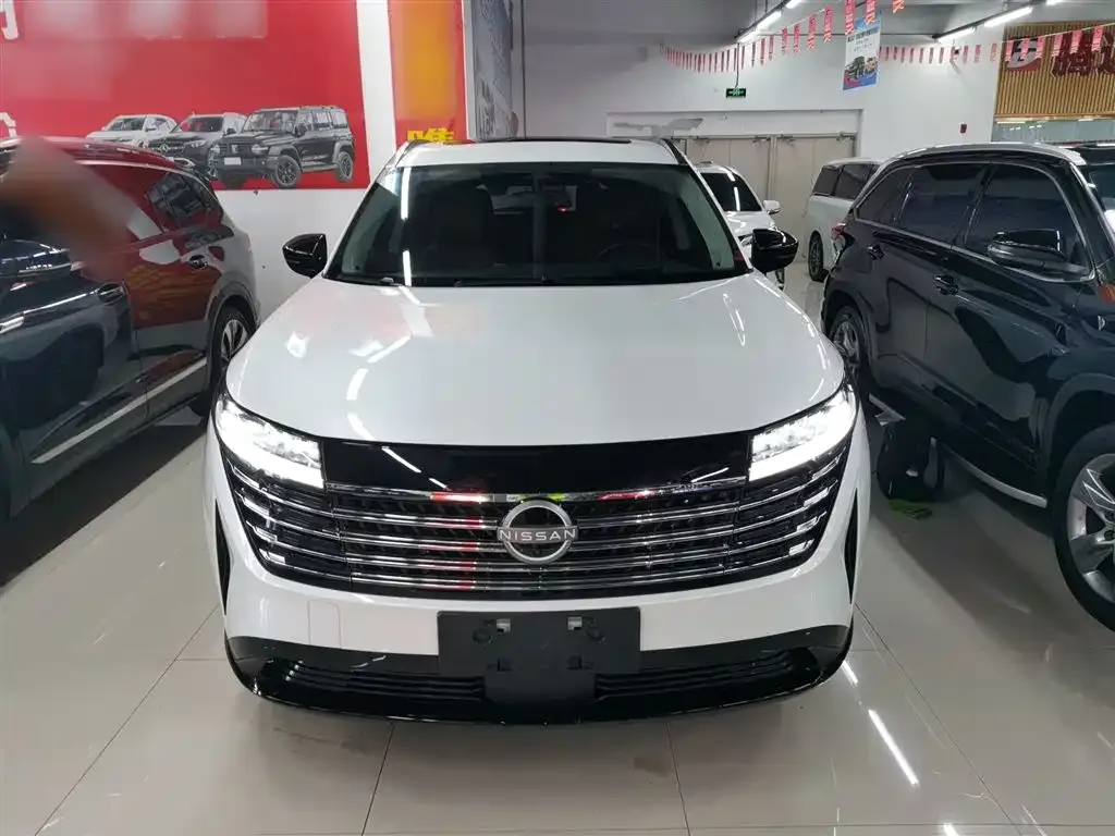 Nissan Teramont 2024 из CN, фото 4