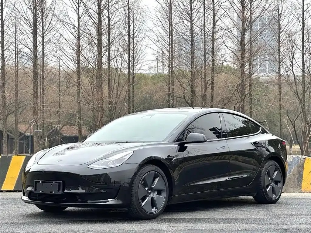 Tesla Model 3 2021 из CN, фото 1
