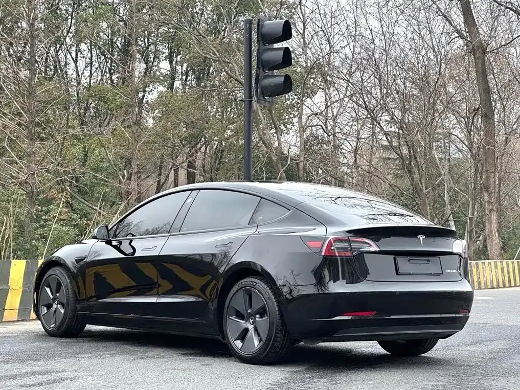 Tesla Model 3 2021 из CN, фото 6