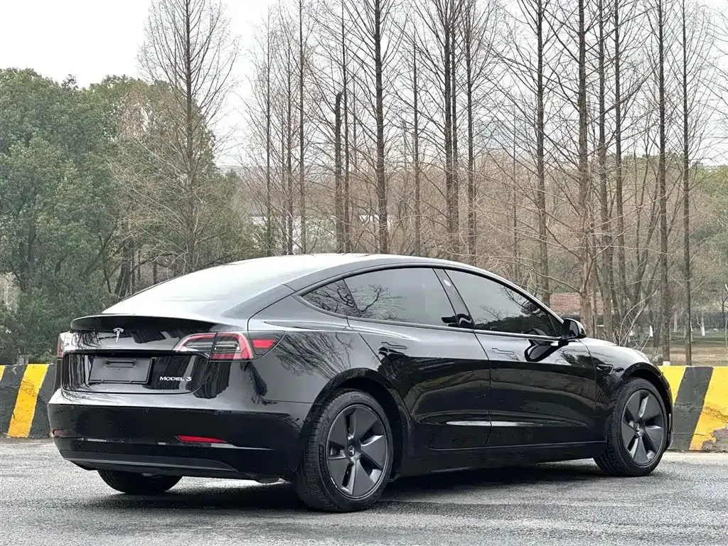 Tesla Model 3 2021 из CN, фото 3