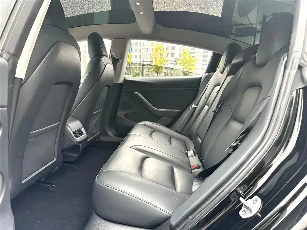 Tesla Model 3 2021 из CN, фото 2