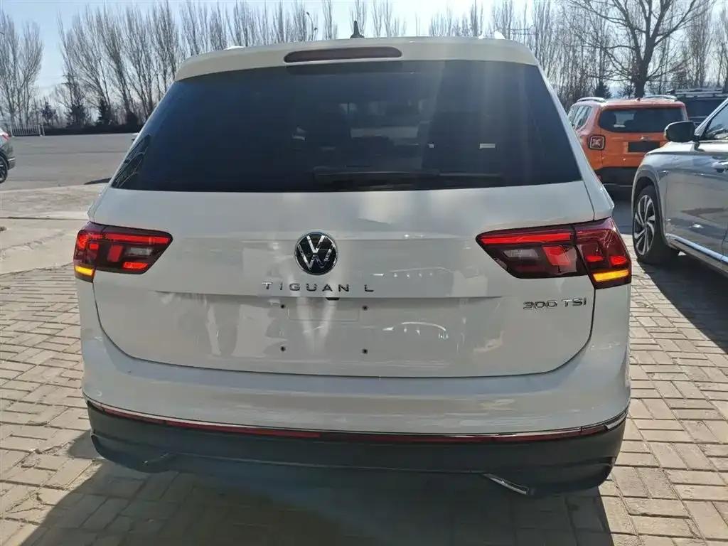 Volkswagen Tiguan L 2025 из CN, фото 9