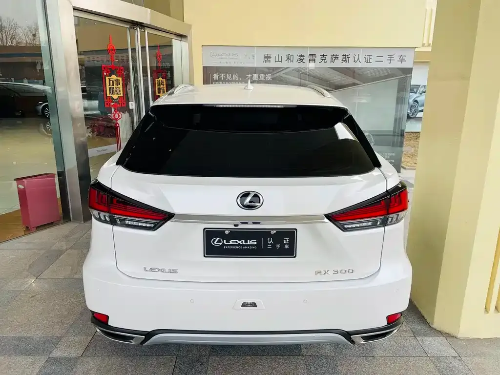 Lexus RX 2021 из CN, фото 6