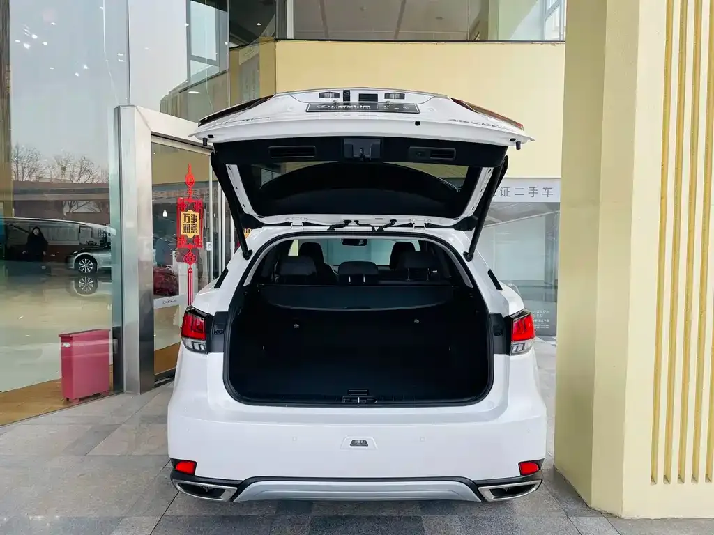 Lexus RX 2021 из CN, фото 3