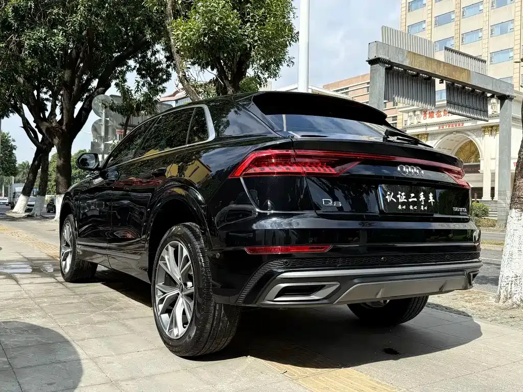 Audi Q8 2021 из CN, фото 6