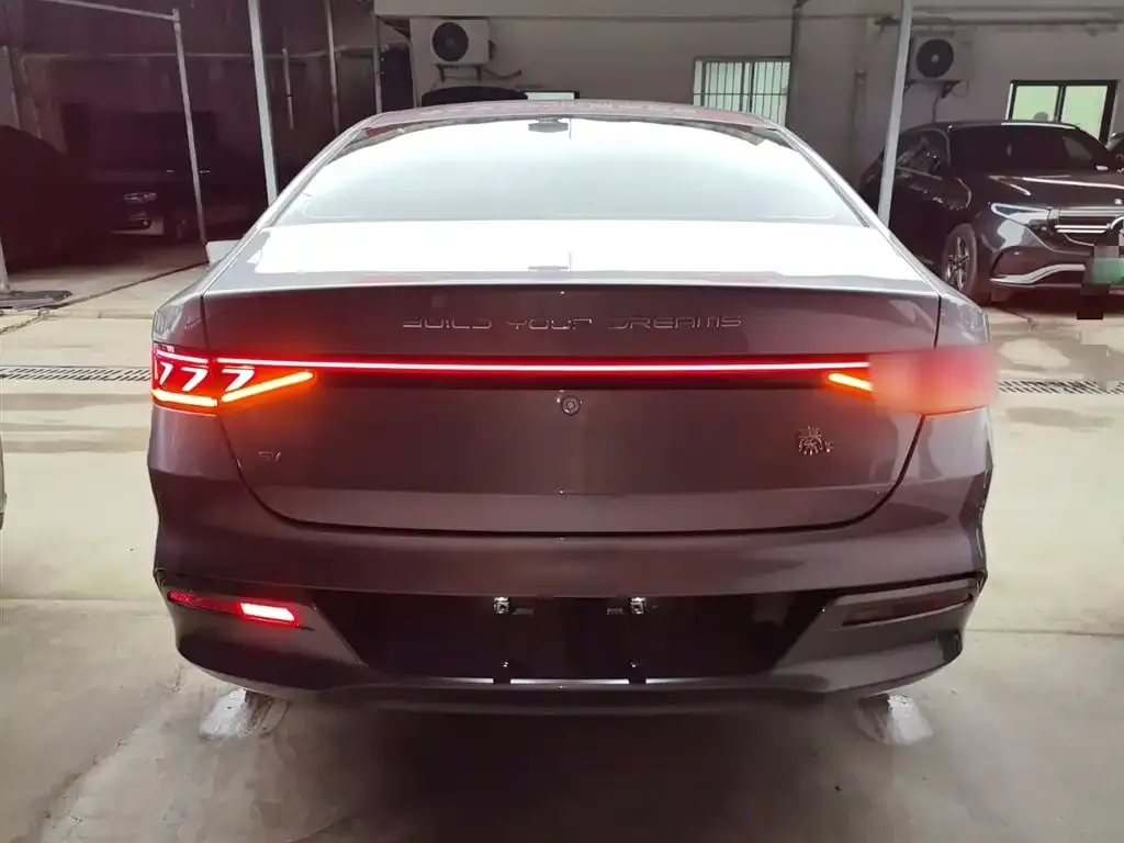 BYD Qin PLUS 2021 из CN, фото 5