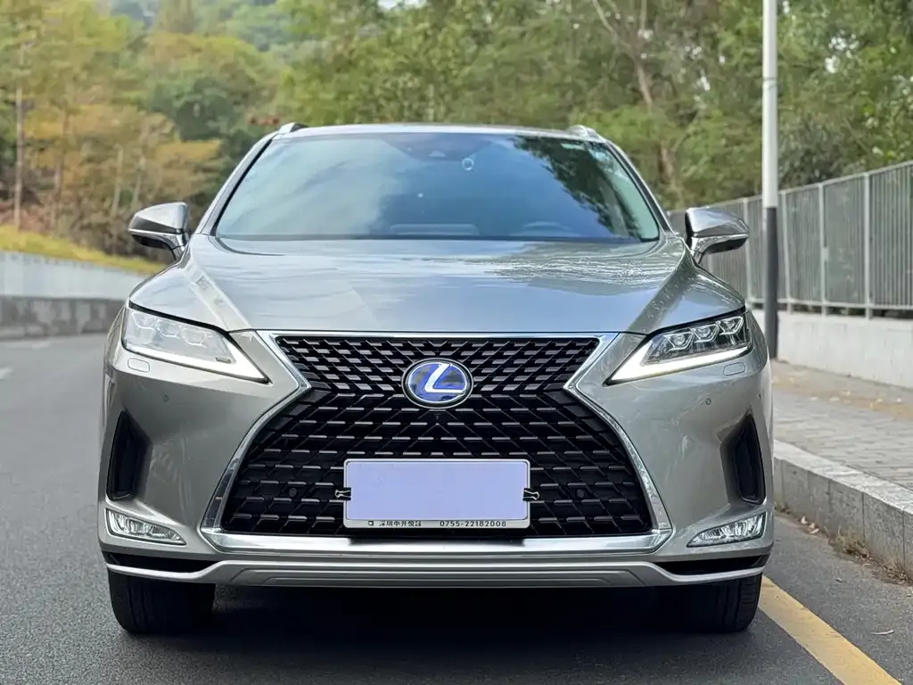 Lexus RX 2021 из CN, фото 8