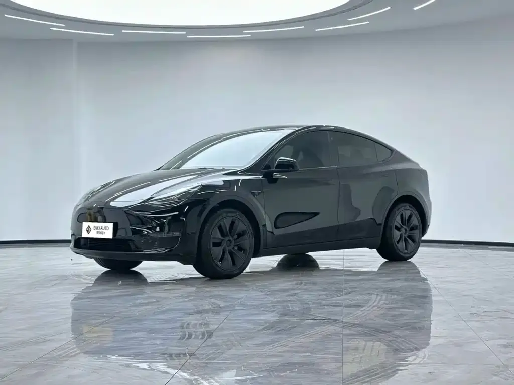 Tesla Model Y 2024 из CN, фото 1