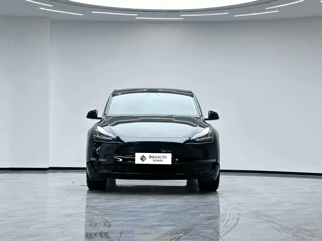 Tesla Model Y 2024 из CN, фото 2