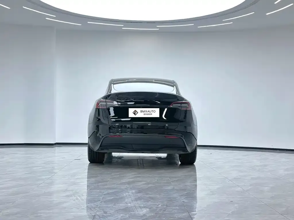 Tesla Model Y 2024 из CN, фото 6