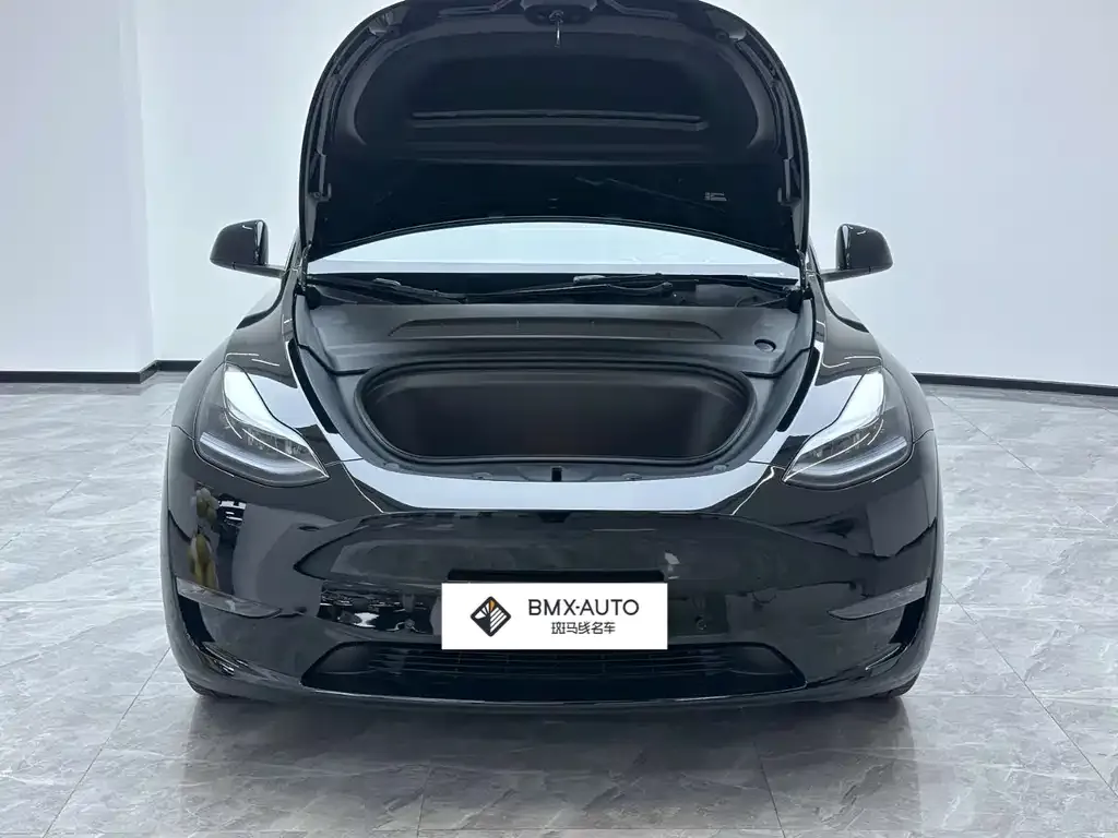 Tesla Model Y 2024 из CN, фото 3