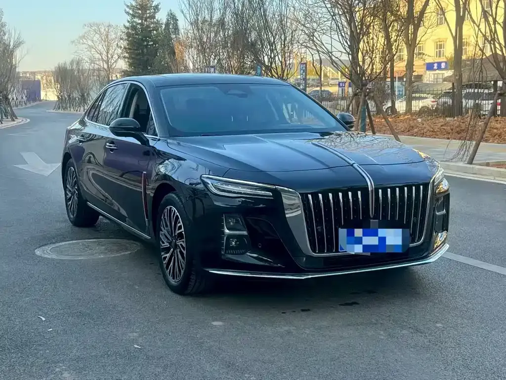 Hongqi H5 2023 из CN, фото 6