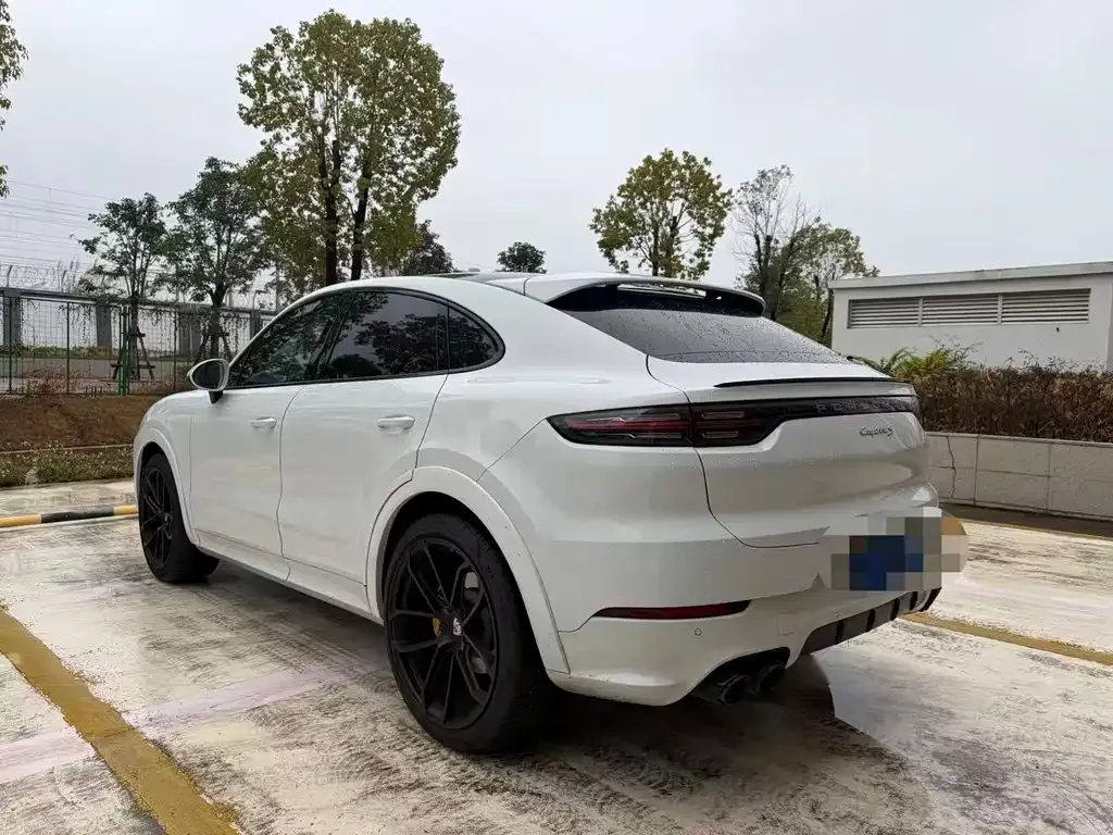 Porsche Cayenne 2021 из CN, фото 8