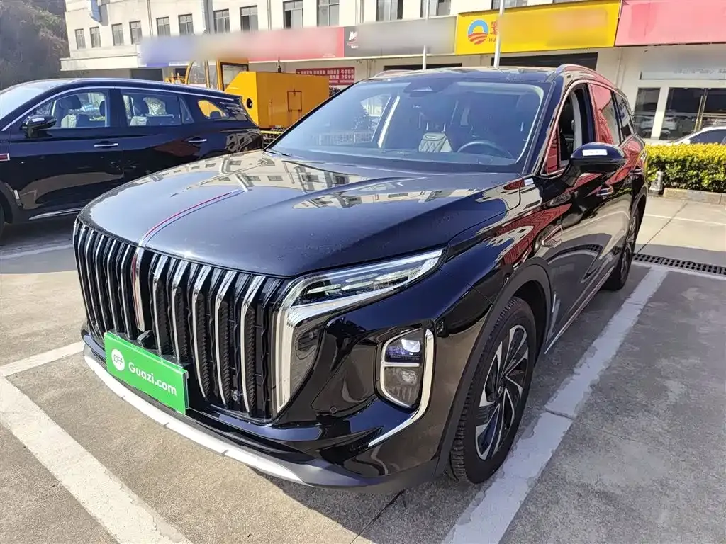 Hongqi HS7 PHEV 2024 из CN, фото 10