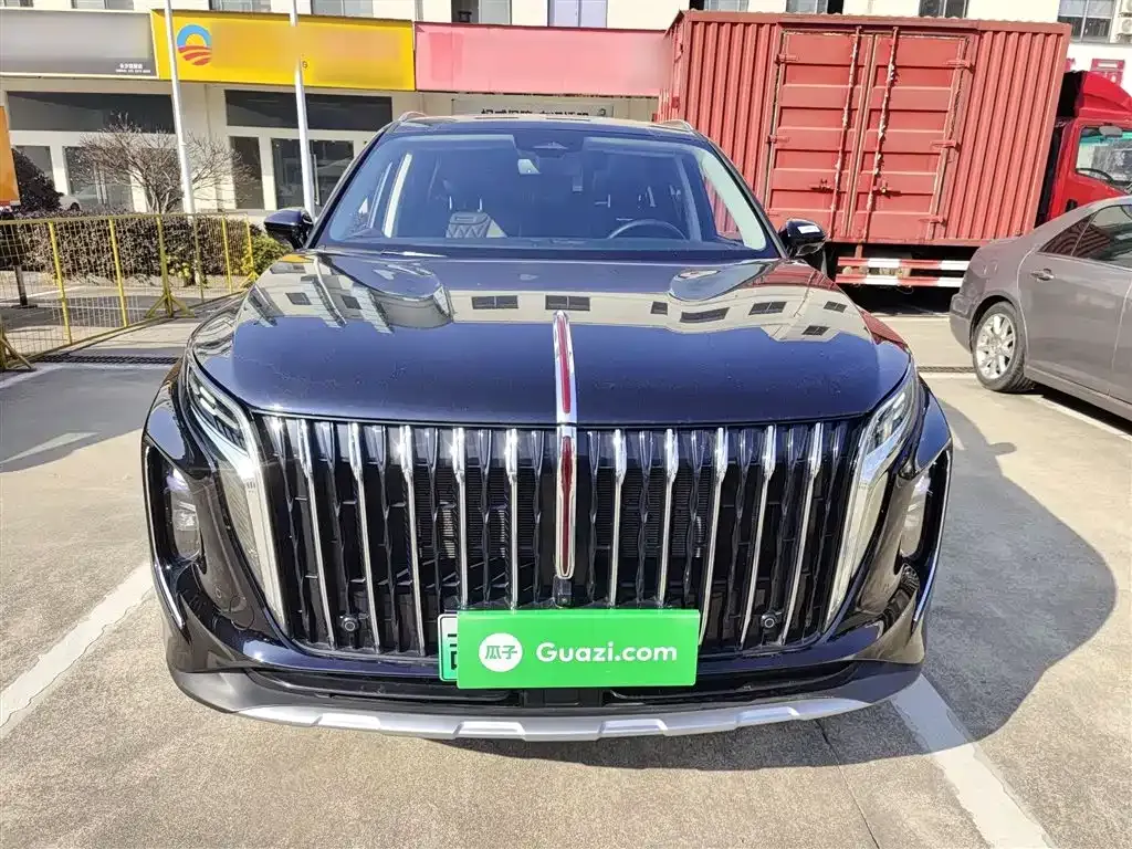 Hongqi HS7 PHEV 2024 из CN, фото 6