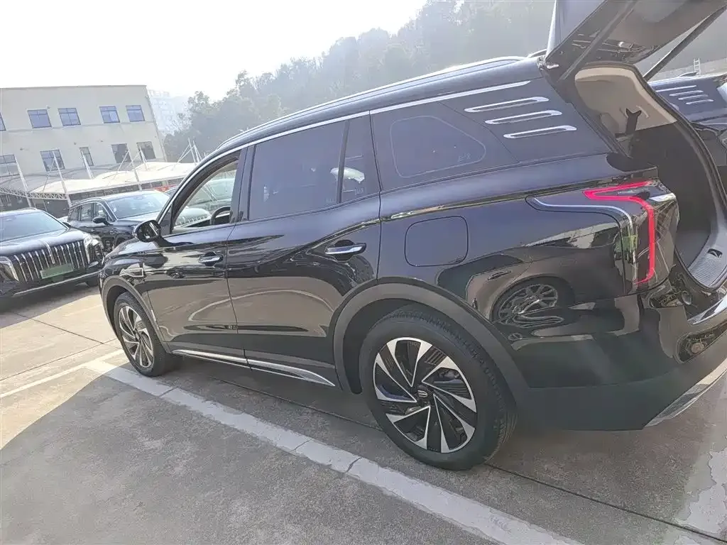 Hongqi HS7 PHEV 2024 из CN, фото 8