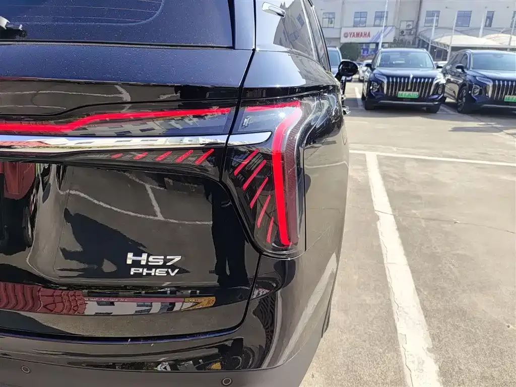 Hongqi HS7 PHEV 2024 из CN, фото 9