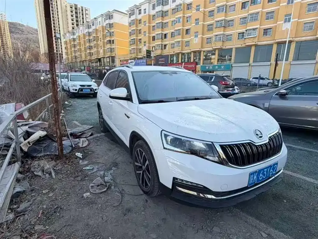 Skoda Kamiq 2022 из CN, фото 5