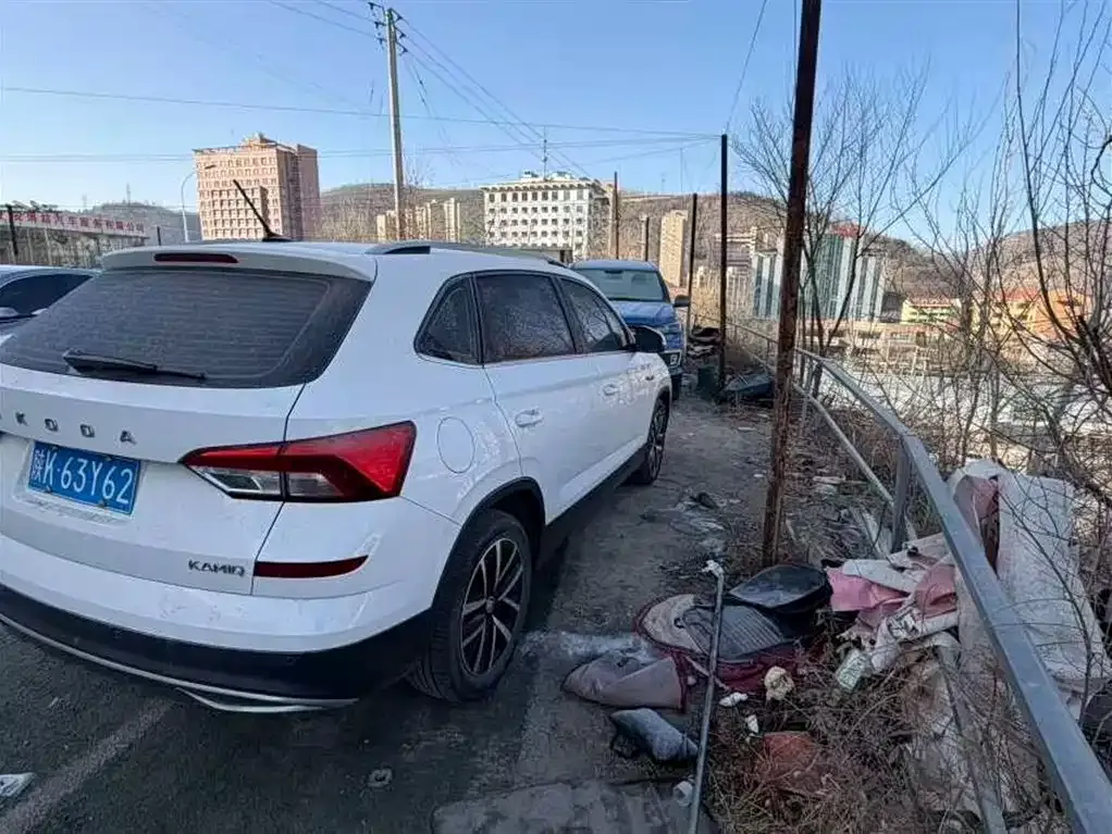 Skoda Kamiq 2022 из CN, фото 6