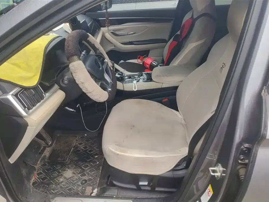 BYD PLUS New Energy 2022 из CN, фото 2