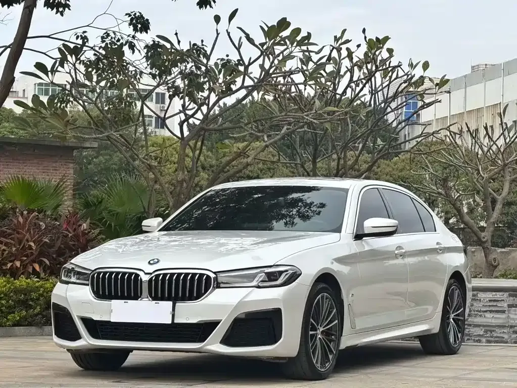 BMW 5 Series 2022 из CN, фото 1