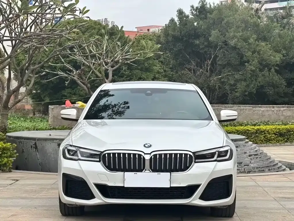BMW 5 Series 2022 из CN, фото 6