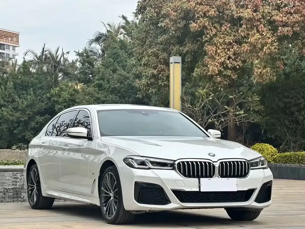 BMW 5 Series 2022 из CN, фото 9