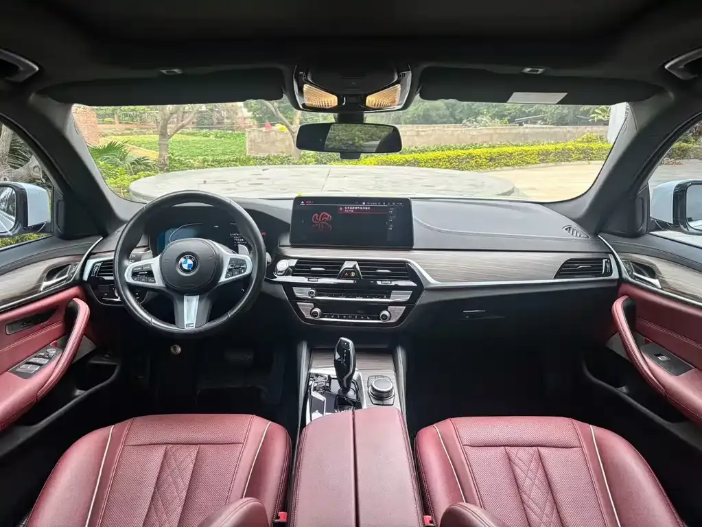 BMW 5 Series 2022 из CN, фото 8