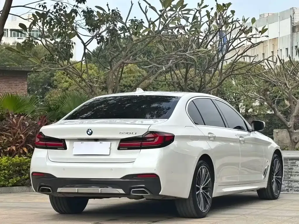 BMW 5 Series 2022 из CN, фото 5
