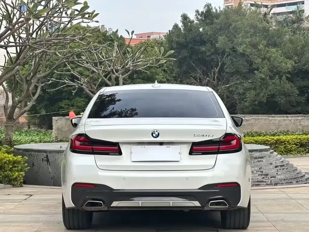 BMW 5 Series 2022 из CN, фото 4