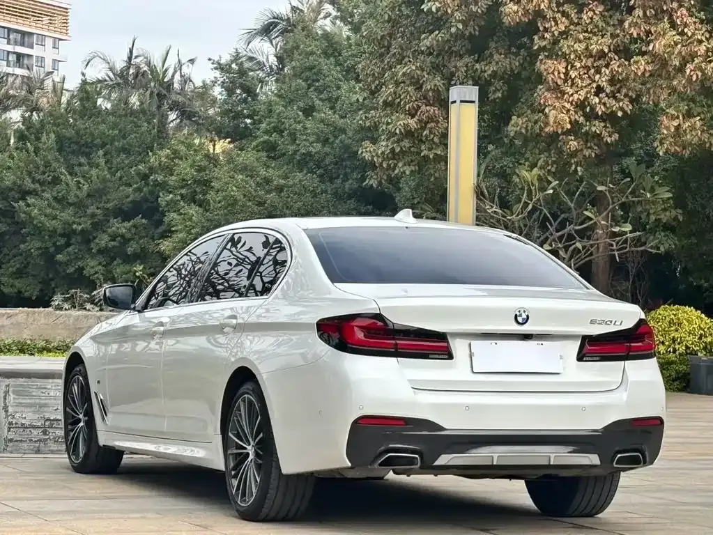 BMW 5 Series 2022 из CN, фото 7