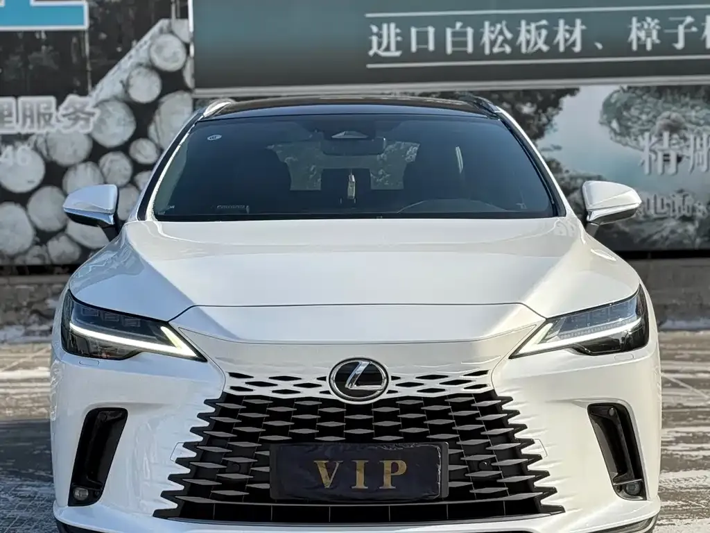 Lexus RX 2023 из CN, фото 1