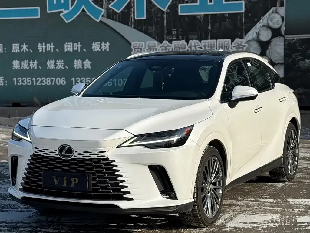 Lexus RX 2023 из CN, фото 8